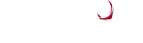 Infinium Spirits Logo